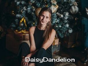 DaisyDandelion