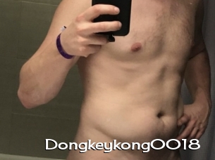 Dongkeykong0018