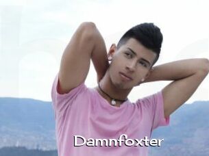 Damnfoxter