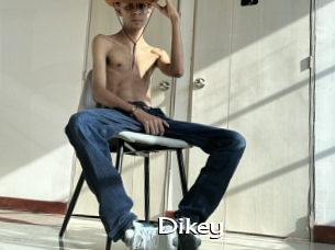 Dikey