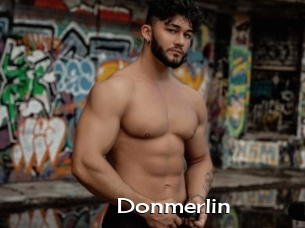 Donmerlin