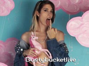 Dustybucketlive