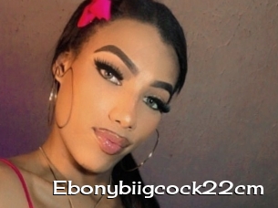 Ebonybiigcock22cm