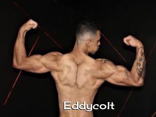 Eddycolt