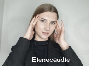 Elenecaudle