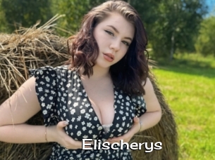 Elischerys