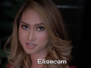 Elisecam