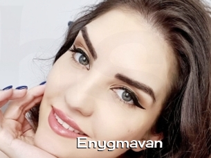 Enygmavan