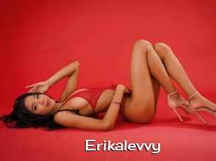 Erikalevvy