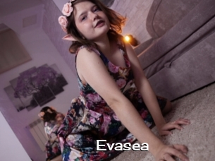 Evasea