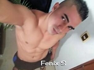 Fenix_S