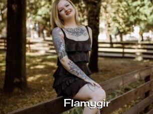 Flamygir