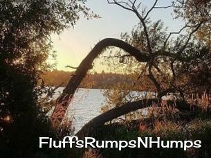 FluffsRumpsNHumps