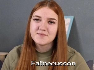 Falinecusson