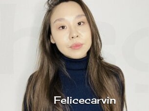 Felicecarvin