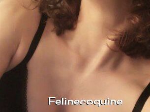 Felinecoquine