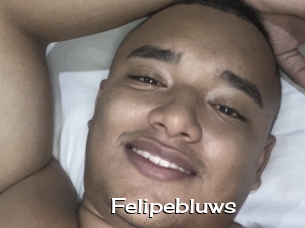 Felipebluws