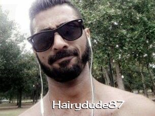 Hairydude87