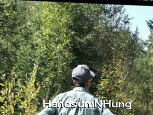 HandsumNHung