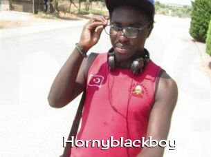 Hornyblackboy