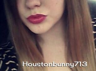 Houstonbunny713