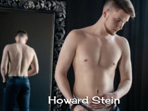 Howard_Stein