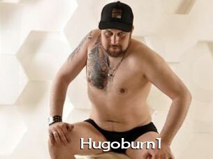 Hugoburn1