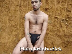 Hairylatinhudick