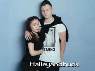 Halleyandbuck