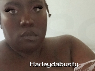 Harleydabusty