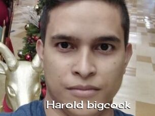 Harold_bigcock