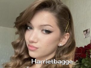 Harrietbagge