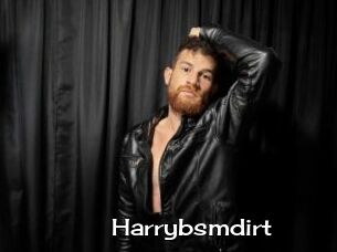 Harrybsmdirt