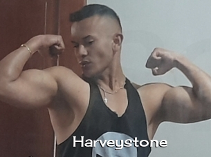 Harveystone