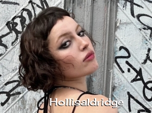 Hollisaldridge