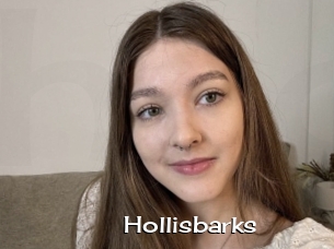 Hollisbarks