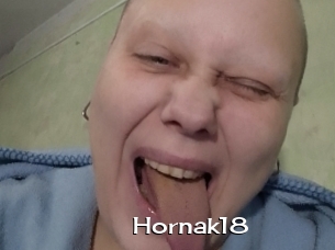 Hornak18