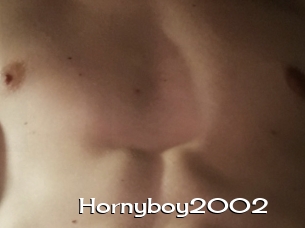 Hornyboy2002