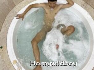 Hornywildboy