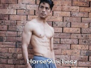 Horse9inchesz