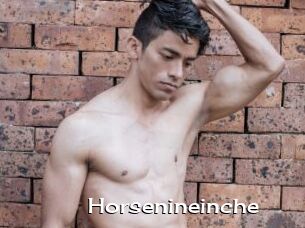 Horsenineinche