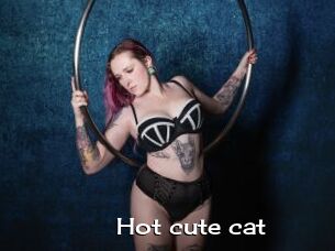 Hot_cute_cat