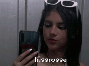 Irissrosse