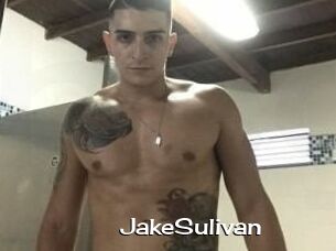 Jake_Sulivan