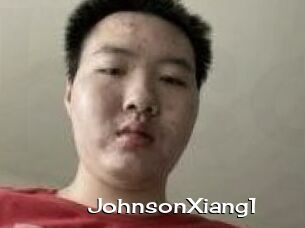 JohnsonXiang1