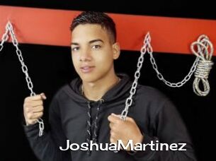 JoshuaMartinez