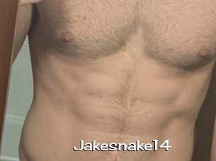 Jakesnake14