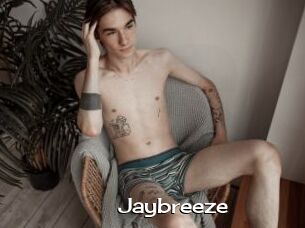 Jaybreeze