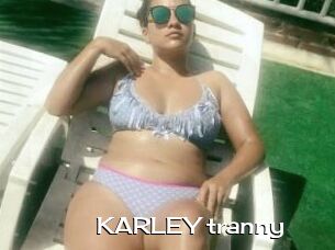 KARLEY_tranny