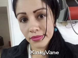 KinkyVane